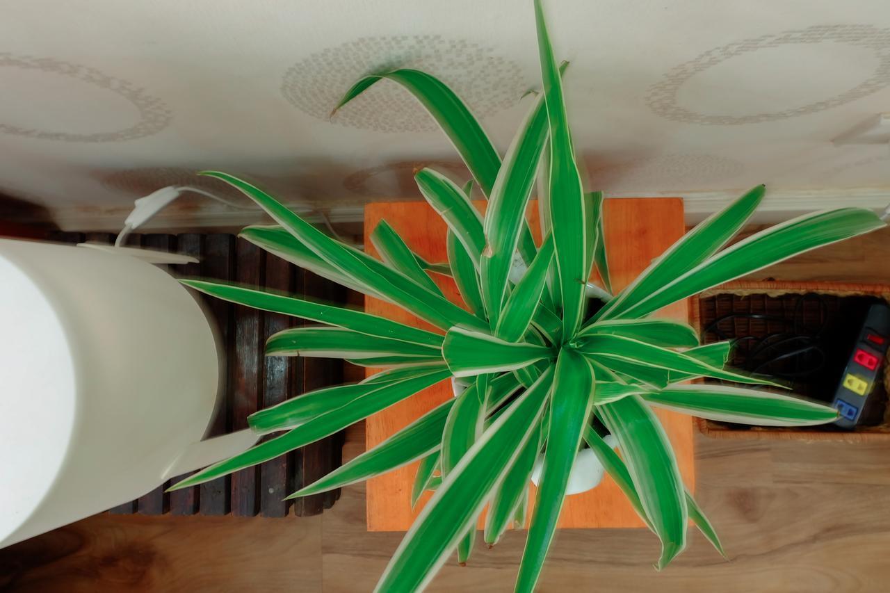 Magari Homestay Ho Chi Minh Zewnętrze zdjęcie